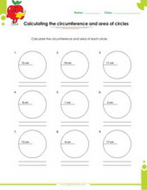 Calculating the perimeter of circles worksheet, circumference of circles, area of circle, Pi.
